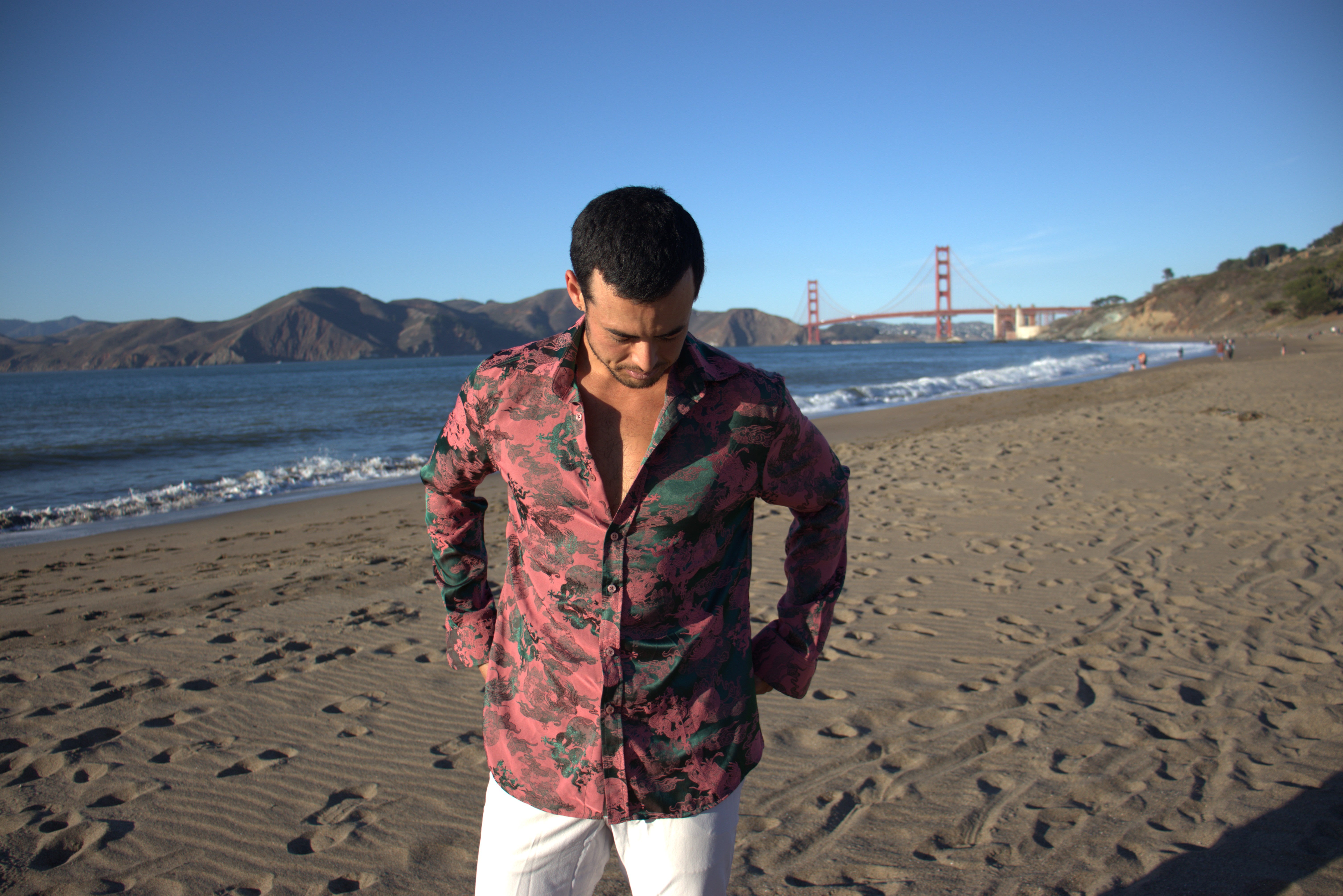 Dancing Dragon Long Sleeve Button Up (Forest Pink)